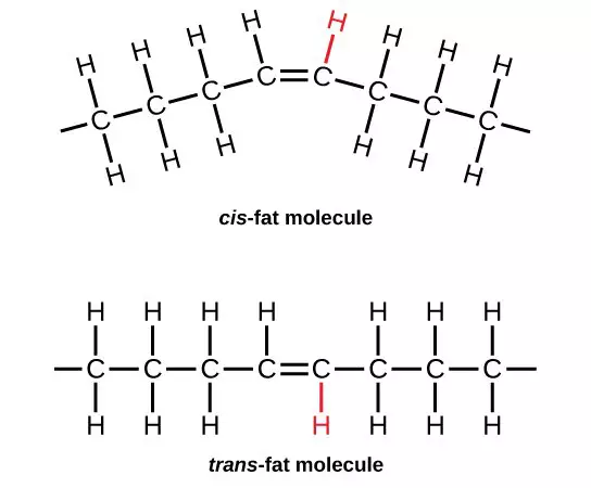 cis- und trans-Doppelbindung